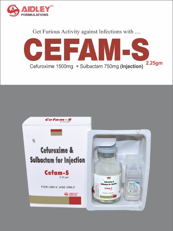 CEFAM-S